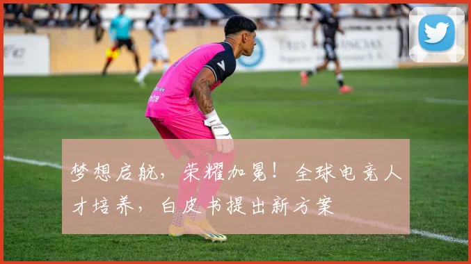 梦想启航，荣耀加冕！全球电竞人才培养，白皮书提出新方案